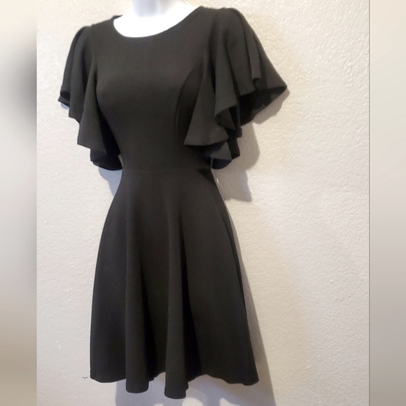 H&M Elegant Black Ruffled Sleeve Fit & Flare Dress Size XS - Picture 6 of 6